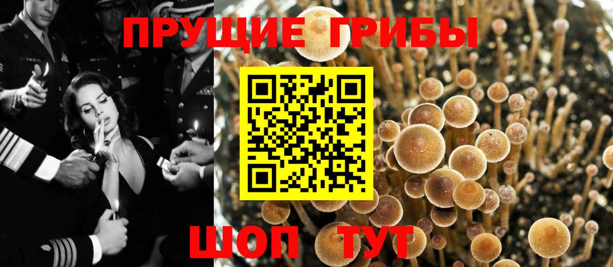 Галлюциногенные грибы мицелий Сарапул