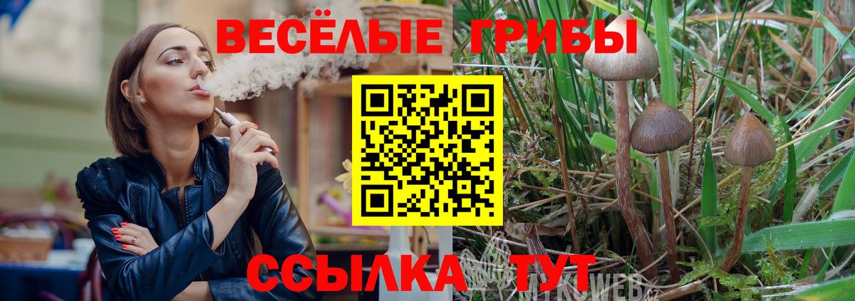Сарапул  Галлюциногенные грибы Magic Shrooms  купить наркотики сайты  Вход с VPN 