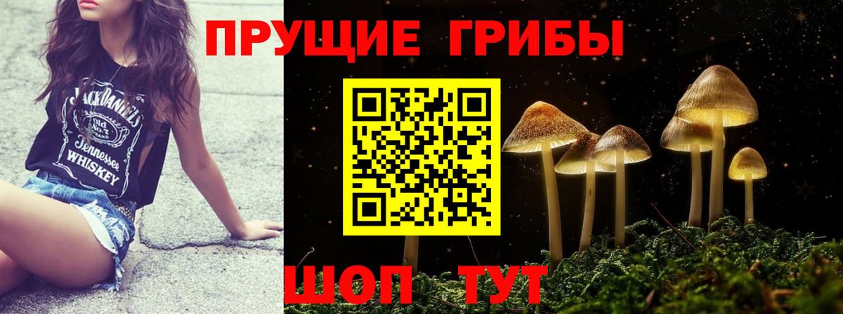 Псилоцибиновые грибы GOLDEN TEACHER Сарапул