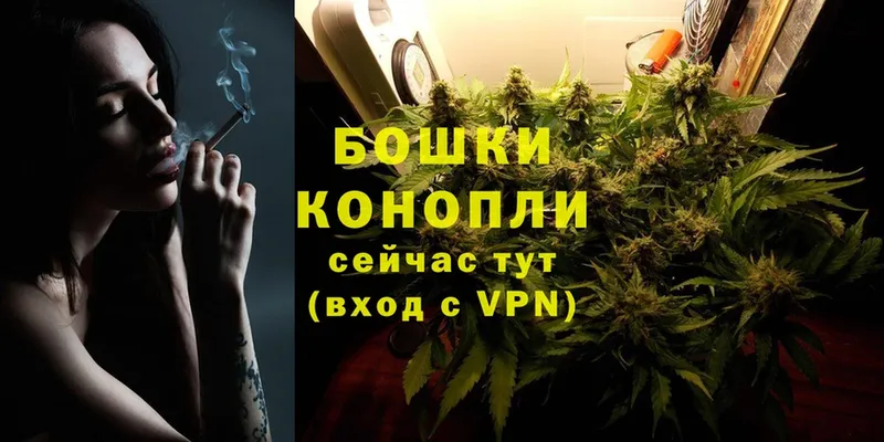 Бошки марихуана Ganja  где можно купить наркотик  блэк спрут зеркало  Сарапул 